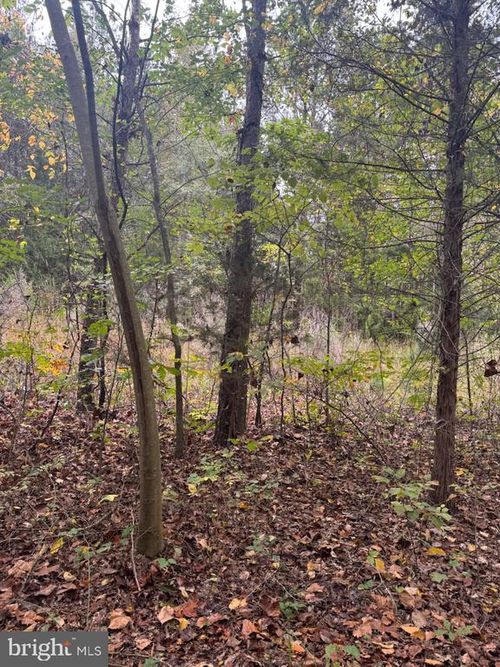 0 Bagwell Dr, Scottsburg, VA, 24589 | Card Image