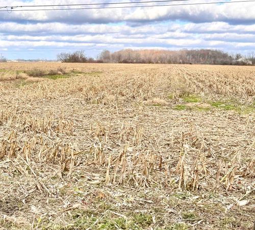 00 W Lake Lot#2 Road, Vienna Charter Township, MI, 48420 | Card Image