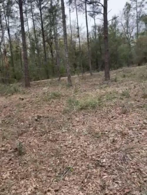 lot 28-29 E Black Cherry Dr, Defuniak Springs, FL, 32433 | Card Image
