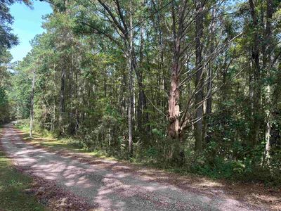 0 Buttercup Way, Home with 0 bedrooms, 0 bathrooms and null parking in TALLAHASSEE FL | Image 2