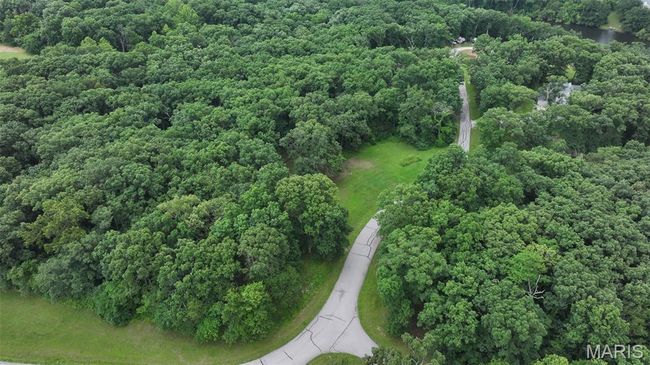 View of property location with a heavily wooded area and a large body of water | Image 30