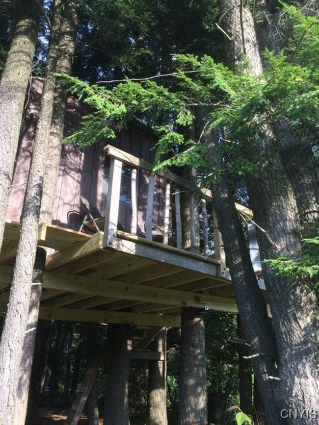 Tree house | Image 49