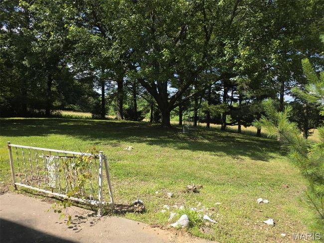 View of green lawn | Image 12