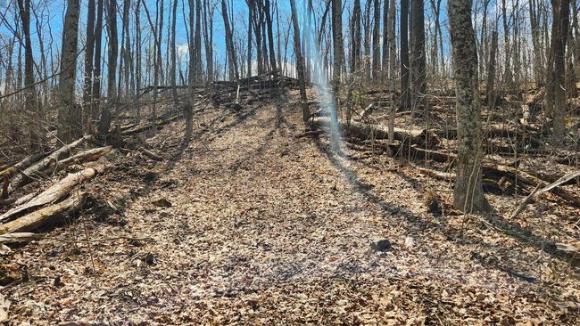 TRACT-1-PIKE-LAKE-GETAWA - 0 Pike Lake Rd, Home with 0 bedrooms, 0 bathrooms and null parking in Bainbridge OH | Image 48