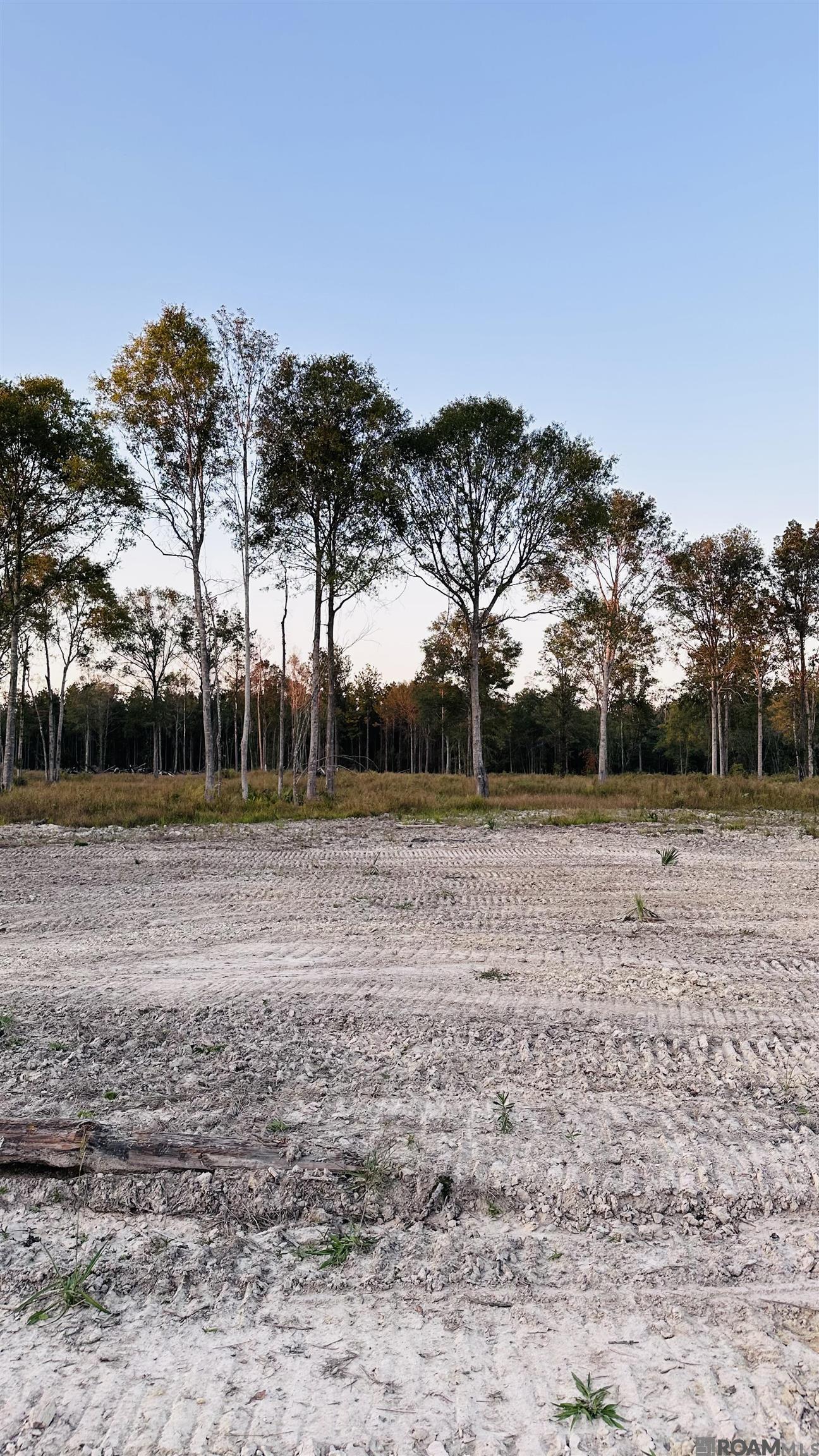 Land in Walker