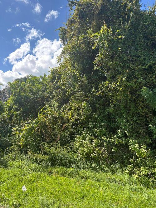 2220 Se Glover St, Port St. Lucie, FL, 34984-4724 | Card Image