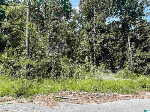19-0 Wilson Glen Dr, WILSONVILLE, AL, 35186 | Card Image