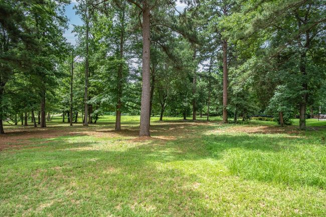 View of green lawn | Image 12