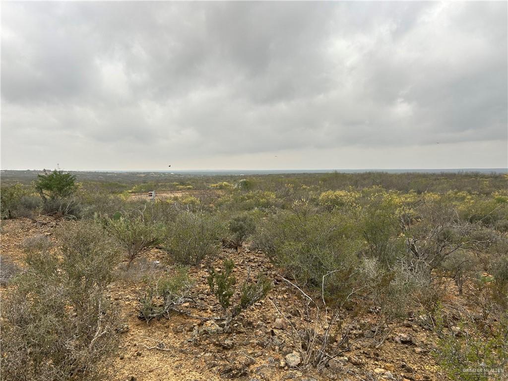 Land in San Ygnacio 4
