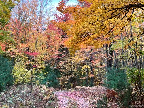 0 Dymond Rd Road, Platte Township, MI, 49640 | Card Image