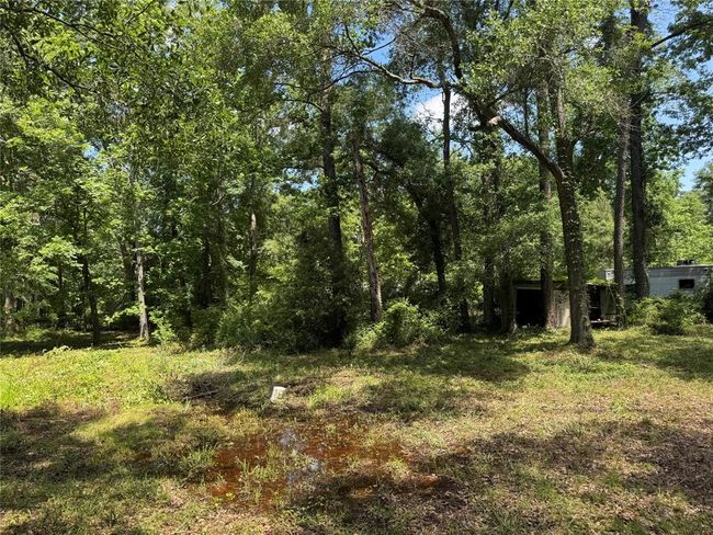 6 Peach Creek Ln, Home with 0 bedrooms, 0 bathrooms and null parking in New Caney TX | Image 11