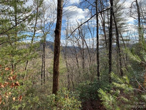 91 Laurel Thicket, Brevard, NC, 28712-7729 | Card Image