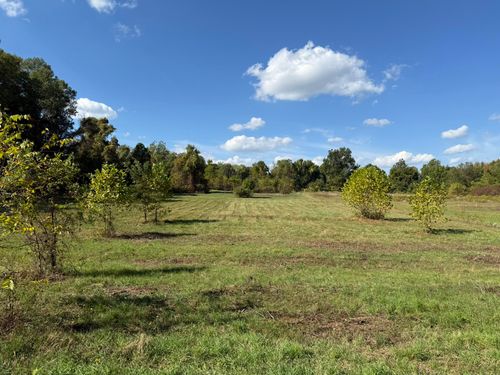 4 Bangor St, Bangor, MI, 49013-1005 | Card Image