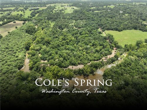 20525 Pickens Rd, Washington, TX, 77880-5185 | Card Image