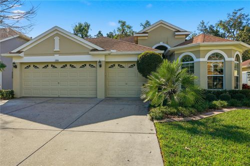 11166 Belle Haven Dr, NEW PORT RICHEY, FL, 34654-4491 | Card Image