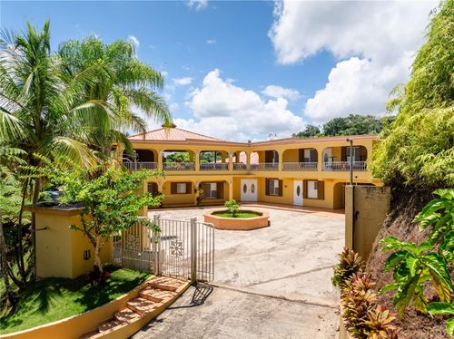 Carr 129 Km.Hm 11.0, Lares, PR, 00669 | Card Image