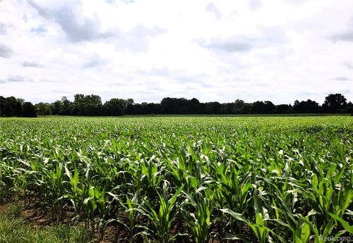 V/L N Irish Road, Forest Township, MI, 48463 | Card Image