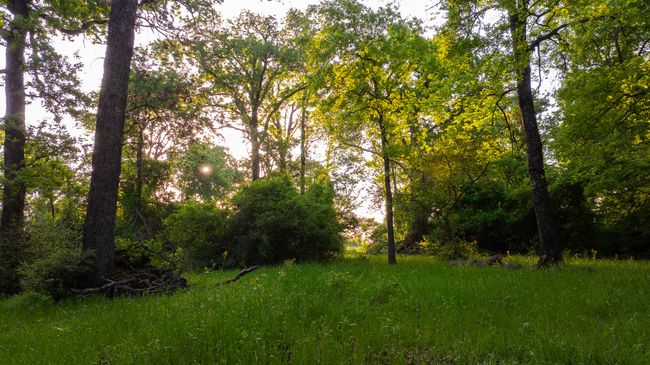 View of landscape | Image 32