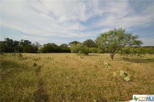 17426 N Highway 183, Home with 0 bedrooms, 0 bathrooms and null parking in Lometa TX | Image 4