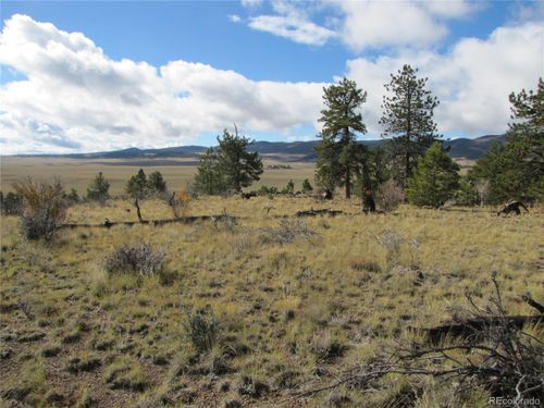 206 Bandolier Ct, Hartsel, CO, 80449-8555 | Card Image