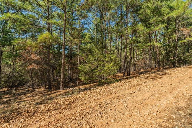Ground View Lot 96 Hidden Hollow Ct, Pine Forest Bastrop | Image 4