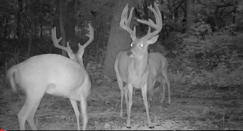 12822 W 80th St, Coyle, OK, 73027-5402 | Card Image