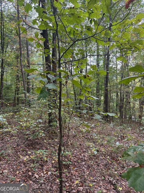 c-3826 Salacoa Rd, Waleska, GA, 30183-2303 | Card Image