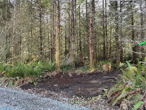 28840 Freelane Rd, Carbonado, WA, 98323 | Card Image