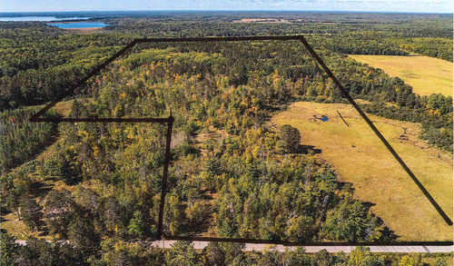 39687 Swanburg Rd, Pine River, MN, 56474-2604 | Card Image