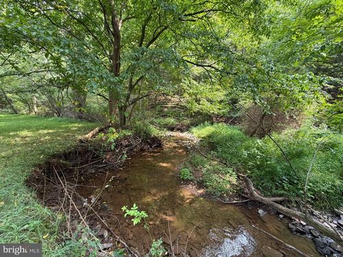 3.12 AC Lot 2 Upper Skaggs Run Rd, BAKER, WV, 26801 | Card Image
