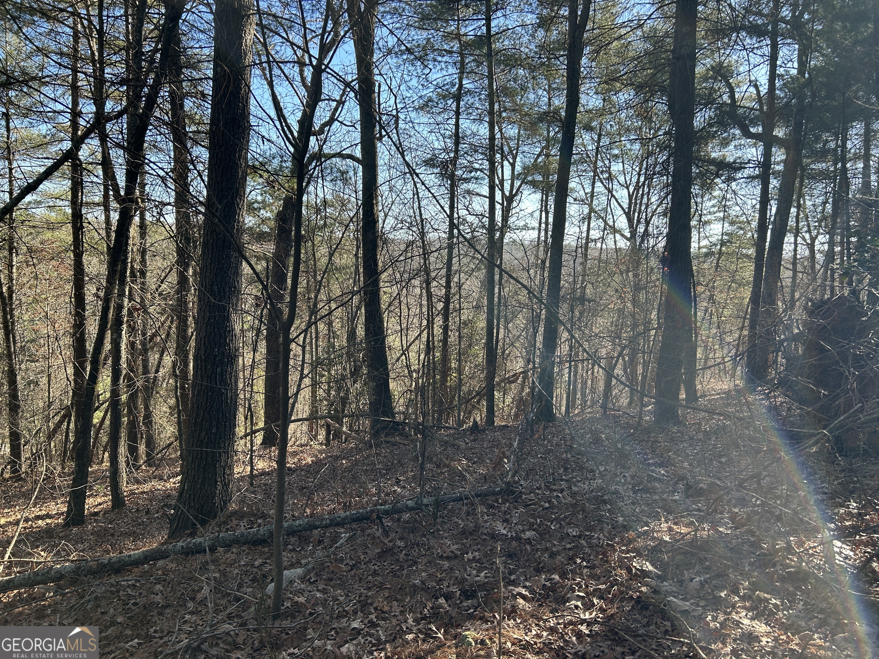 Land in Demorest
