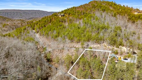 274 Cove Hollow Rd, Cosby, TN, 37722-3207 | Card Image