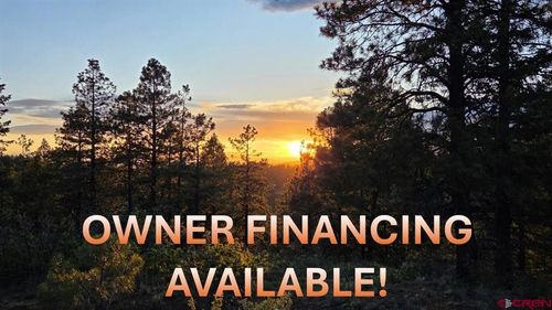 157 Careys Ct, Pagosa Springs, CO, 81147-1064 | Card Image
