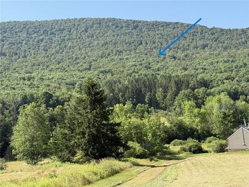 0 Roxbury Mountain Rd, Hobart, NY, 13788 | Card Image