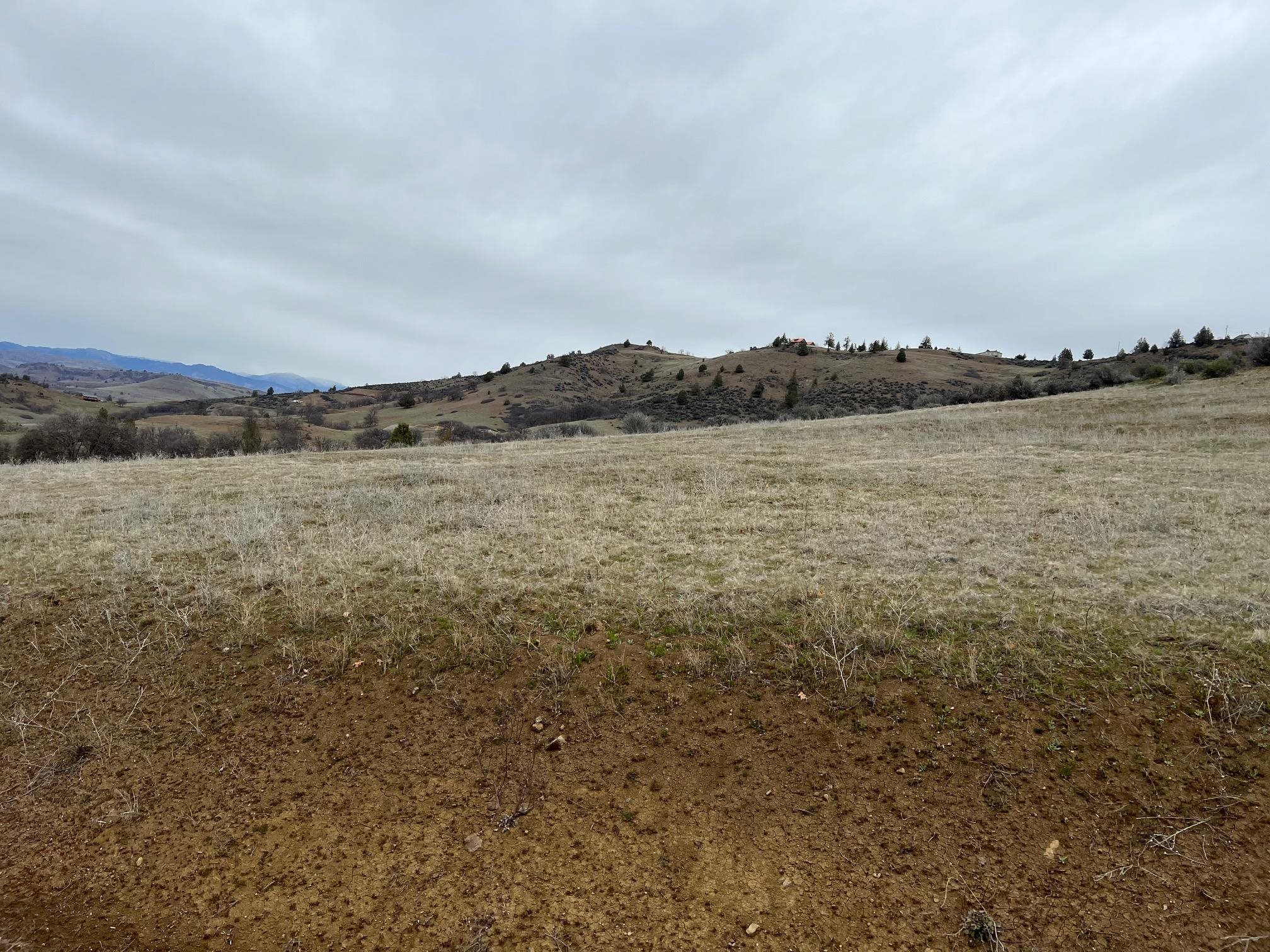 Land in Hornbrook 2