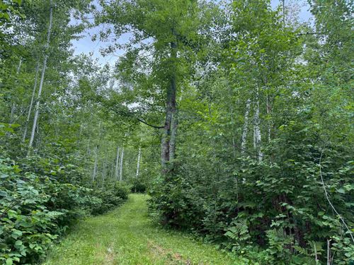 58059 Wolf Creek Rd, Sandstone, MN, 55072 | Card Image