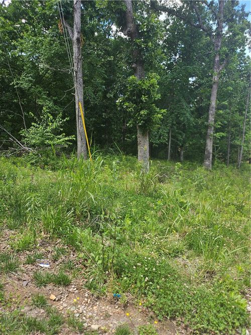 Lot 13 Moniave Lane, Bella Vista, AR, 72715 | Card Image