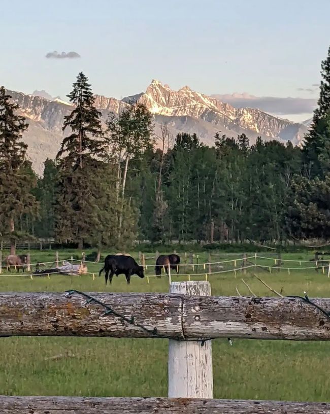 Mountain view | Image 13
