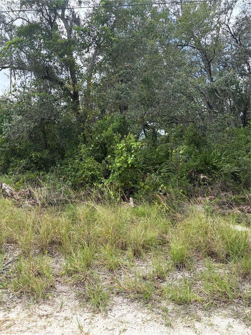 10333 Gilmer St, New Port Richey, FL, 34654 | Card Image