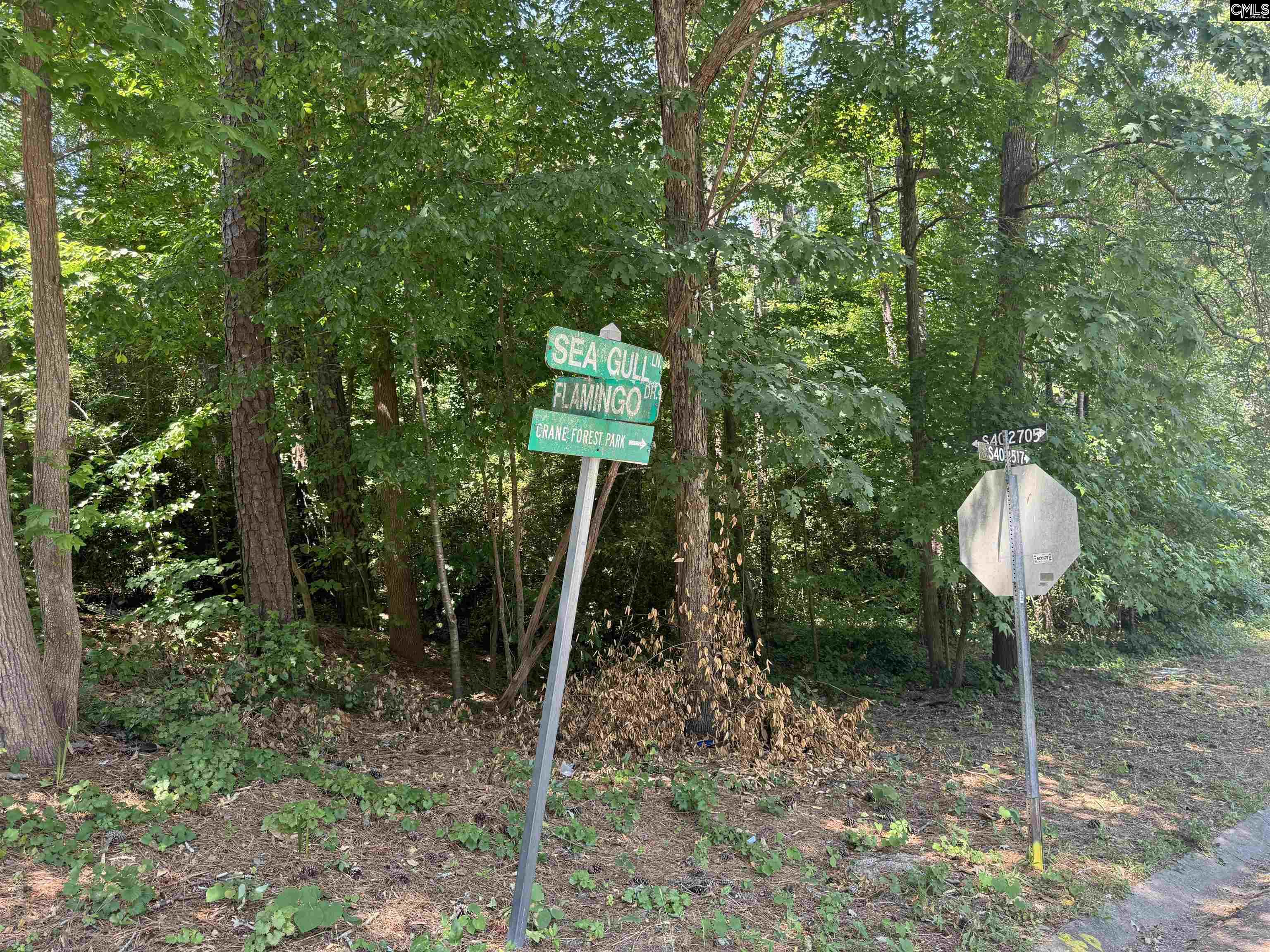 2302 Sea Gull Lane, For Sale in Columbia Zoocasa