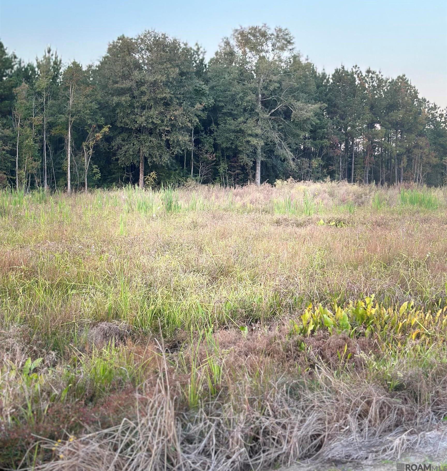 Land in Walker