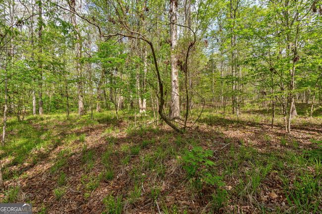 0 Skull Shoals Rd, Home with 0 bedrooms, 0 bathrooms and null parking in Washington GA | Image 15