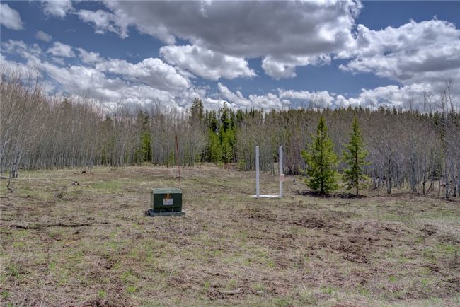 View of yard with a wooded view | Image 22