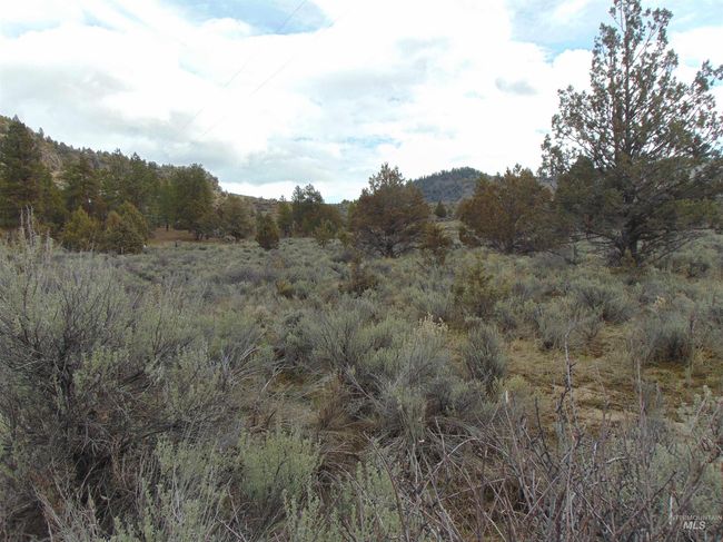 10733 Rattlesnake Ln, House other with 3 bedrooms, 2 bathrooms and null parking in Unity OR | Image 29