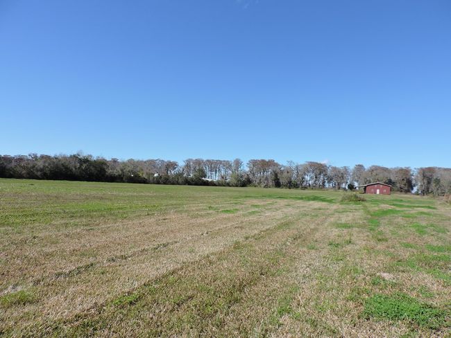 192 Commercial Ave, Home with 0 bedrooms, 0 bathrooms and null parking in East Palatka FL | Image 7