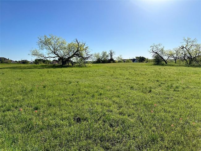 Lot 81 Moonlight Bay Court, Home with 0 bedrooms, 0 bathrooms and null parking in Streetman TX | Image 15