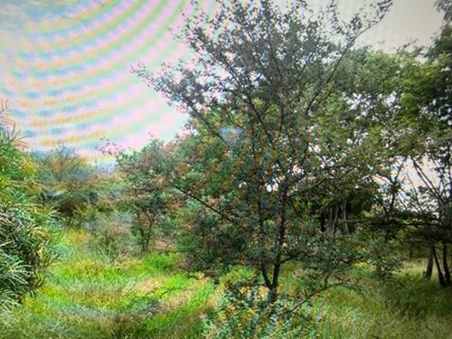 0 Deer Ridge Dr, Barrington, NH, 03825 | Card Image