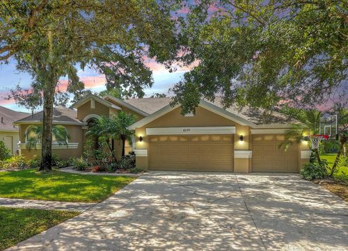 6107 Ibispark Dr, LITHIA, FL, 33547-3909 | Card Image