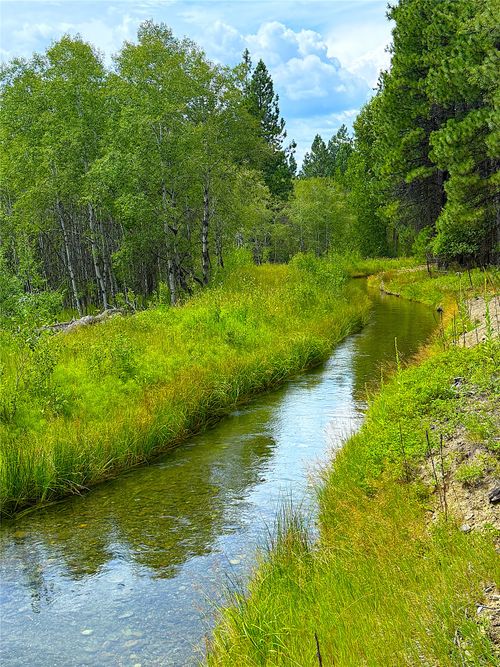 Nhn Pomeroy Trl, Eureka, MT, 59917 | Card Image