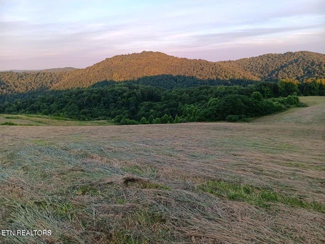 170 Ball Ridge Rd, Home with 0 bedrooms, 0 bathrooms and null parking in Cumberland Gap TN | Image 8